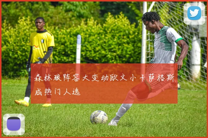 森林狼阵容大变动欧文小卡萨格斯成热门人选