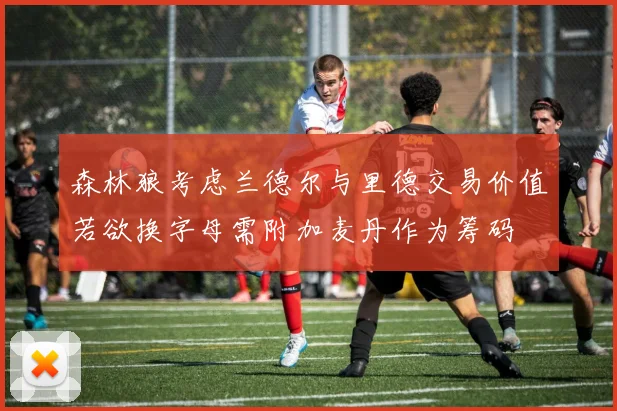 森林狼考虑兰德尔与里德交易价值若欲换字母需附加麦丹作为筹码