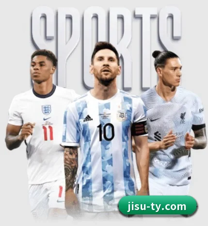五大服务分区,信息按项目分类